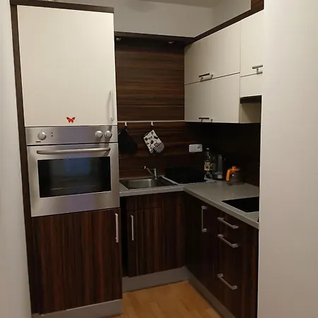 Apartman Nove Mesto Na Morave * Нове-Место-на-Мораве
