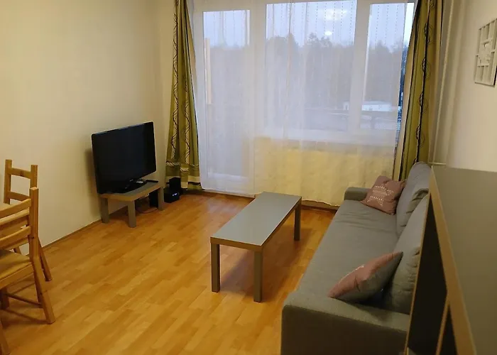 Apartment Apartman Nove Mesto Na Morave