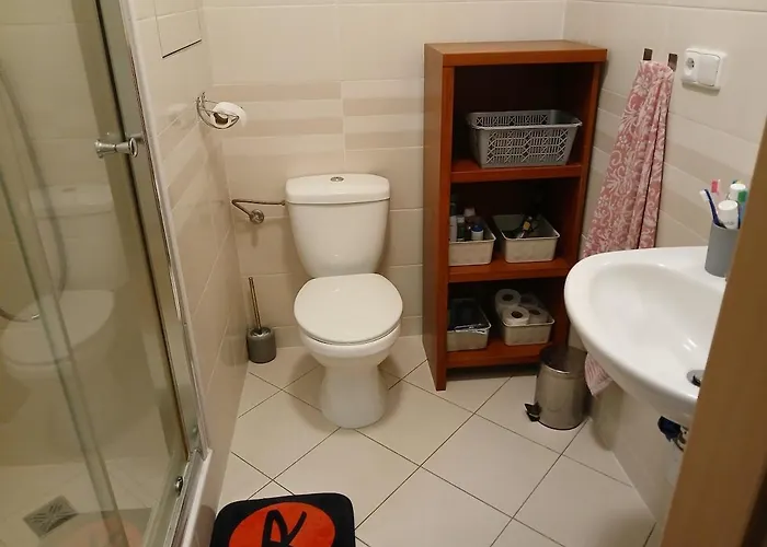 Apartman Nove Mesto Na Morave Apartment Nove Mesto na Morave