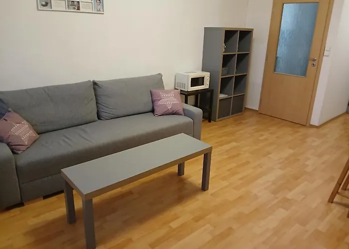 Apartman Nove Mesto Na Morave 公寓 诺夫梅斯托纳马瑞夫